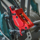 Fiido M1 Pro Bici Elettrica Ruote Grosse Fat Bike