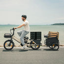 Fiido T3 Max Longtail Cargo Bici Elettrica Fat Bike