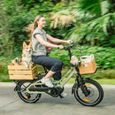 Fiido T3 E-Bike da Carico per la Famiglia Urbana