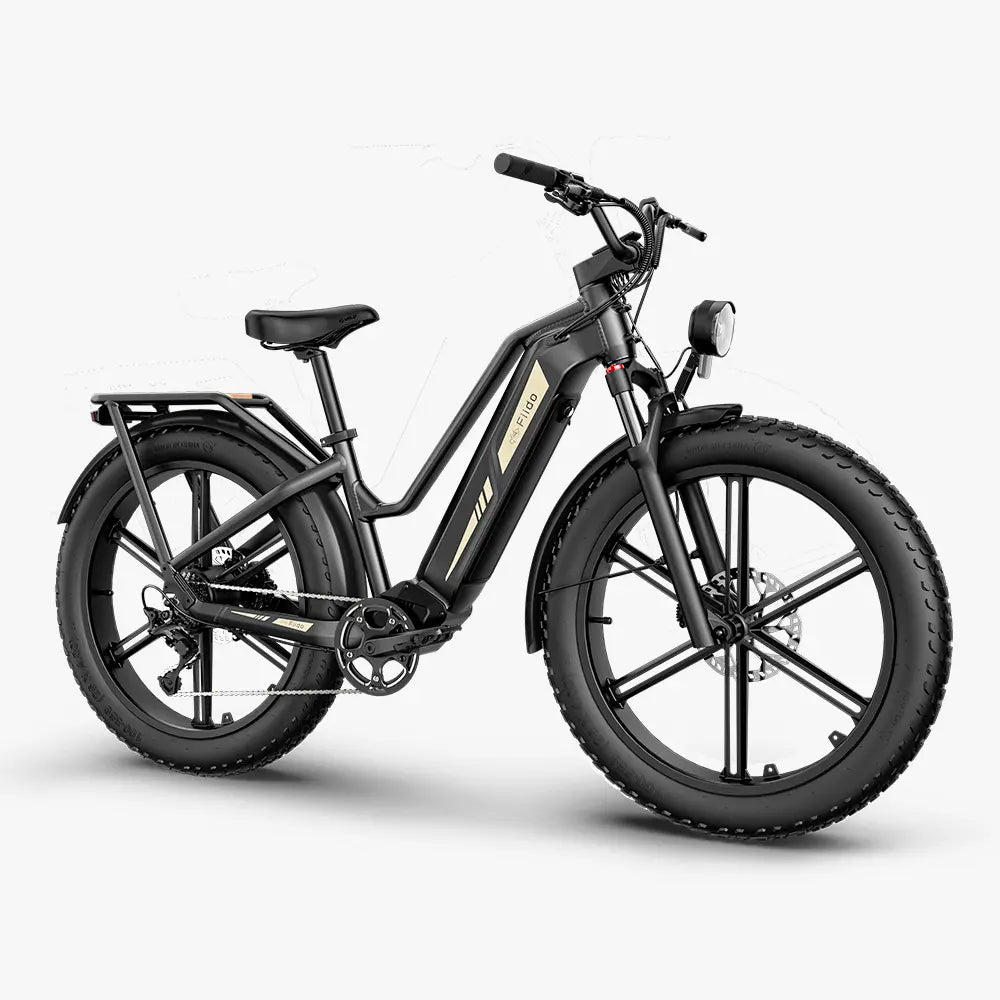 Titan Fat Tire Touring Ebike - Lunga autonomia