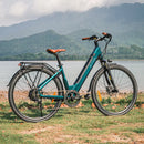 Fiido C11 Pro Bici Elettrica Urbana