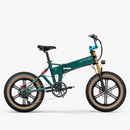 Fiido M1 Pro Bici Elettrica Ruote Grosse Fat Bike
