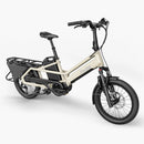 Fiido T3 Max Longtail Cargo Bici Elettrica Fat Bike