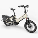 Fiido T3 Max Longtail Cargo Bici Elettrica Fat Bike