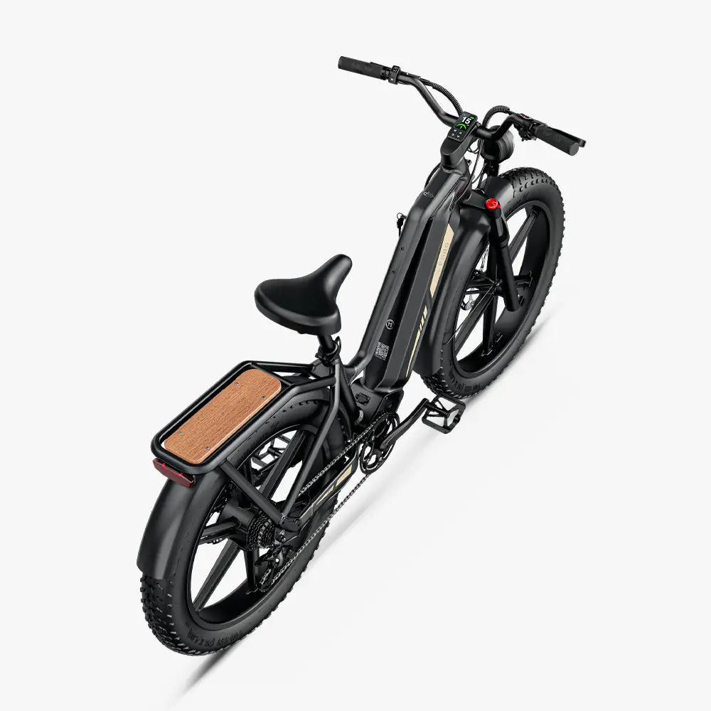 Titan Fat Tire Touring Ebike - Lunga autonomia