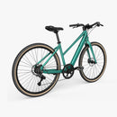 Fiido E-Gravel C22 EBike