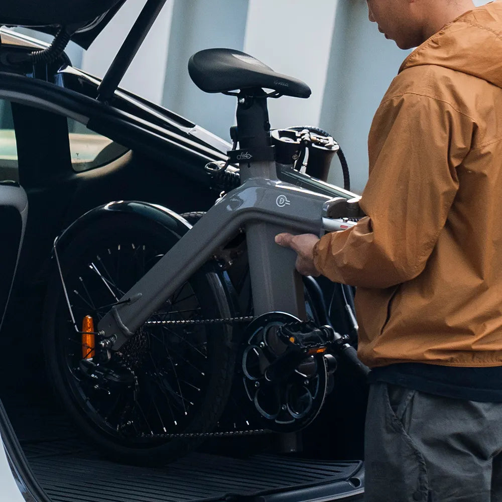 Fiido D11 Bici Elettrica Pieghevole Urbana