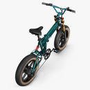Fiido M1 Pro Bici Elettrica Ruote Grosse Fat Bike