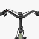 Fiido T3 E-Bike da Carico per la Famiglia Urbana