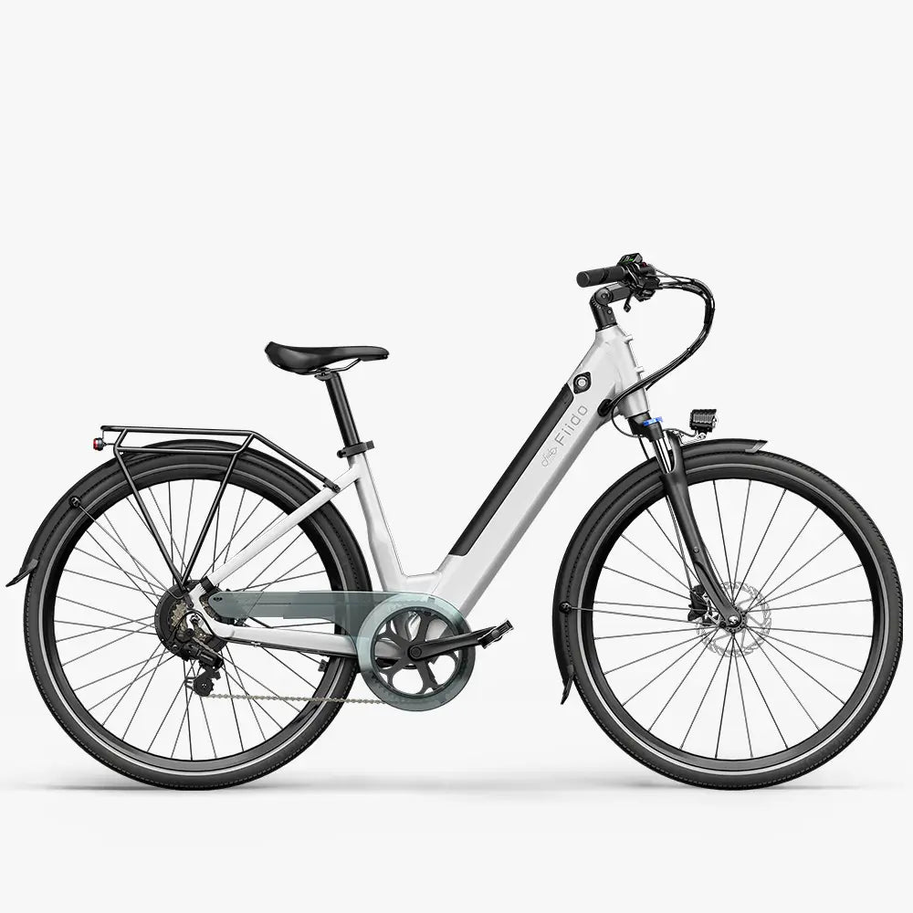 Fiido C11 Bici Elettrica Leggera Da Città