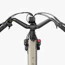 Fiido T3 Max Longtail Cargo Bici Elettrica Fat Bike