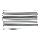 Raggio (ruota posteriore) per C11/C11 PRO