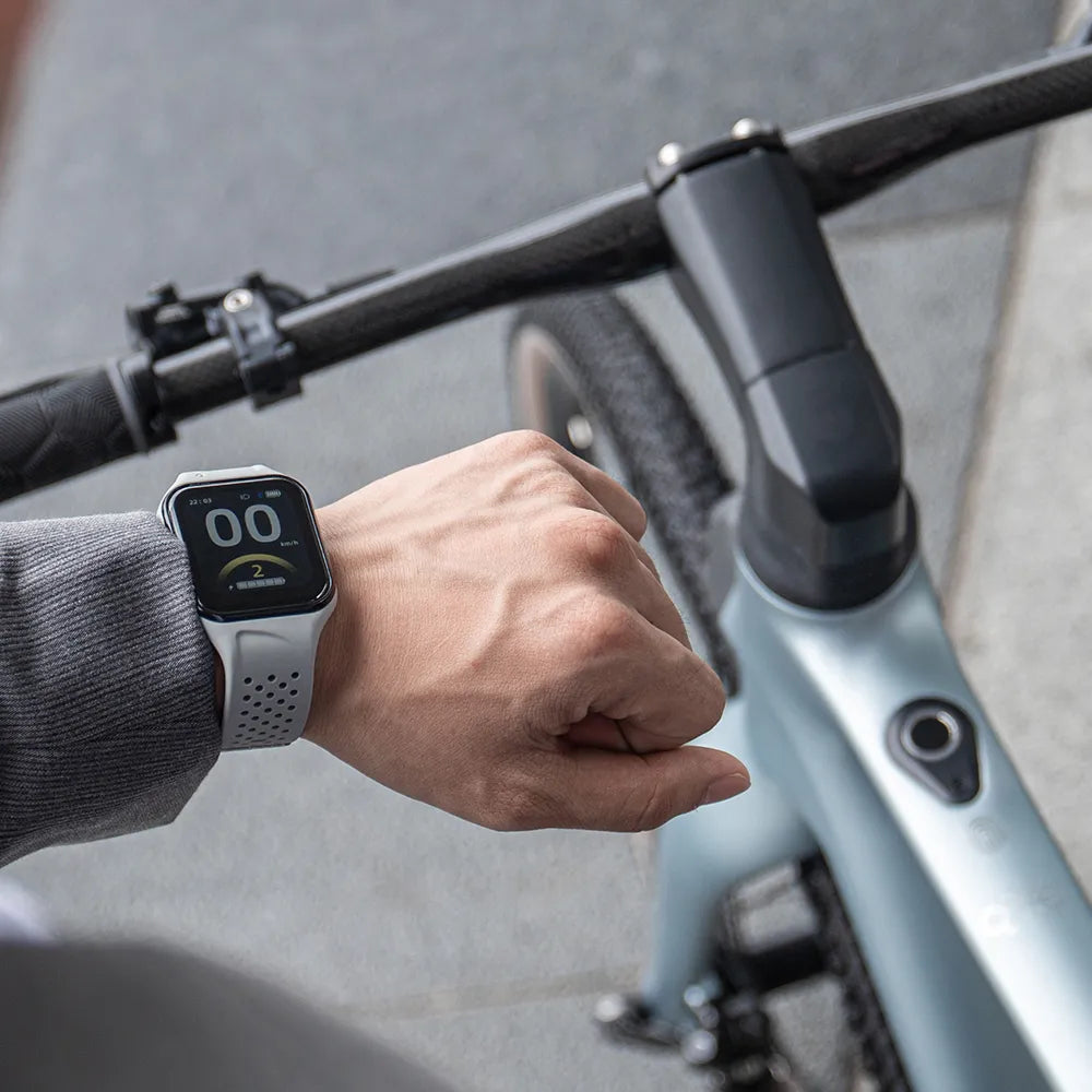 Fiido Air E-Bike Ultraleggero in Fibra di Carbonio