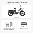 Fiido T2 Longtail Cargo Bici Elettrica Fat Bike