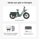 Fiido T2 Longtail Cargo Bici Elettrica Fat Bike