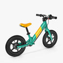 Bicicletta elettrica Fiido Kidz