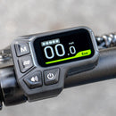 Fiido L3 Mini Bici Elettrica Piccola Pieghevole Da 200km