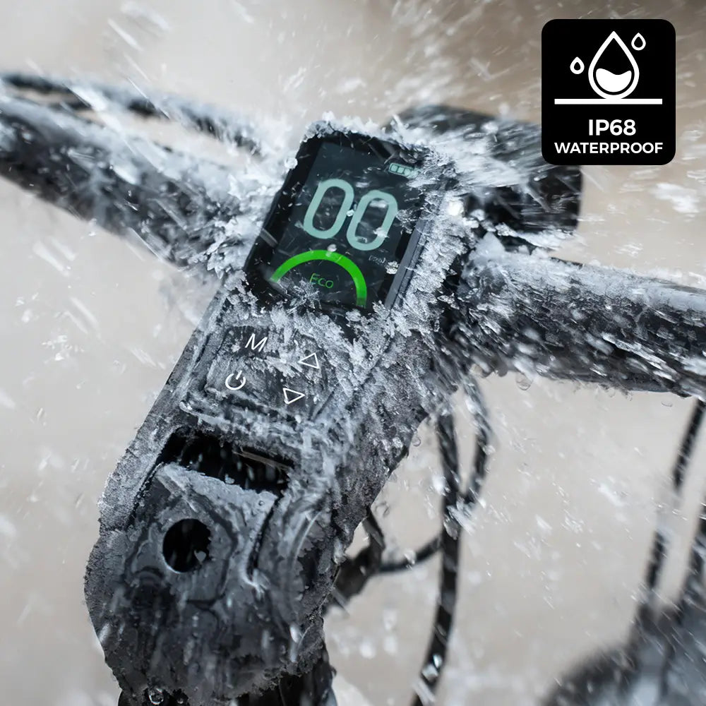 Fiido Nomads E-bike da turismo