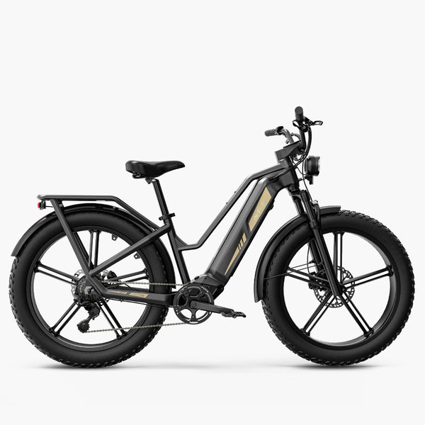 Fiido Titan - Bicicletta Elettrica da Trasporto Robusta