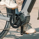 Fiido Nomads Pro bicicletta elettrica da turismo