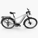 Fiido Nomads Pro bicicletta elettrica da turismo