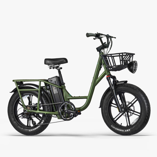 Fiido T1 Pro - Cargo Bici Elettrica Fat Bike Utility