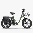Fiido T1 Pro Cargo Bici Elettrica Fat Bike Utility