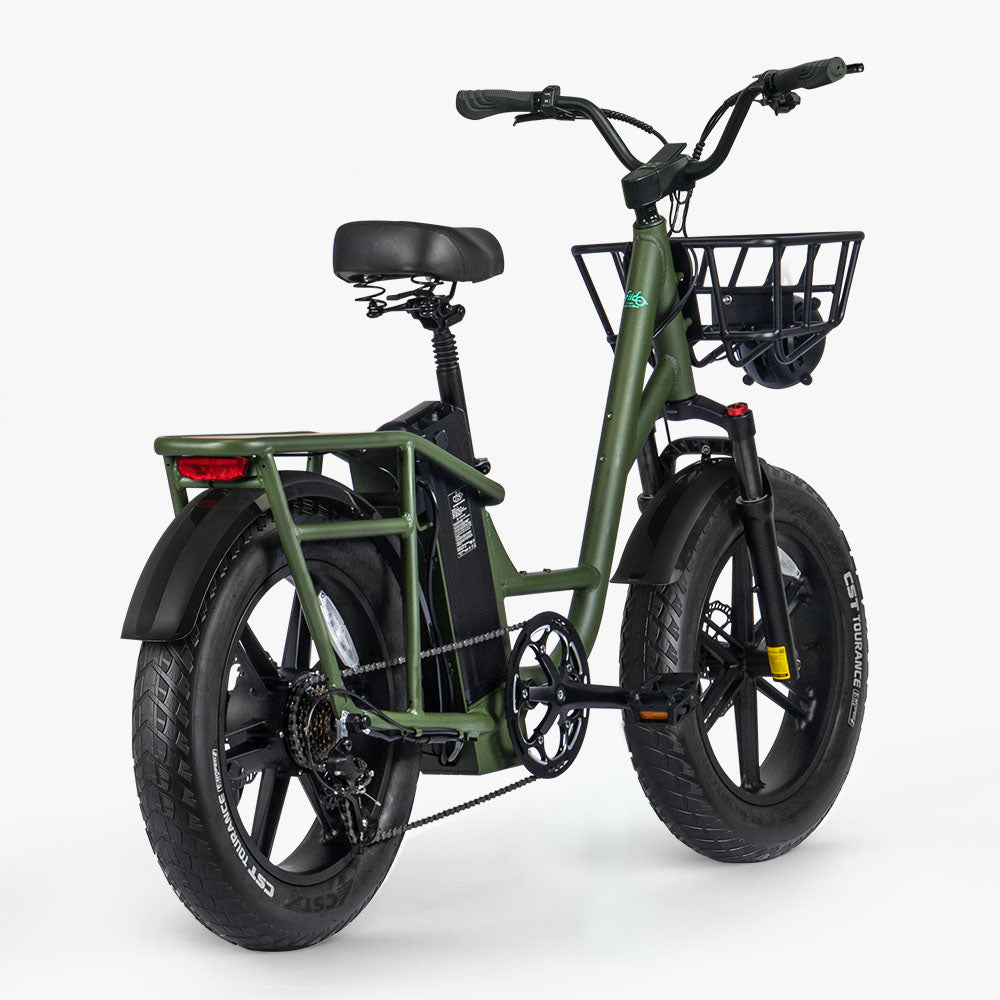 Fiido T1 Pro Bicicletta Elettrica Utility