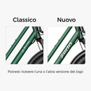 Fiido T2 Longtail Cargo Bici Elettrica Fat Bike