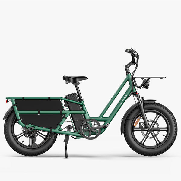 Fiido T2 Longtail Cargo E-Bike Verde