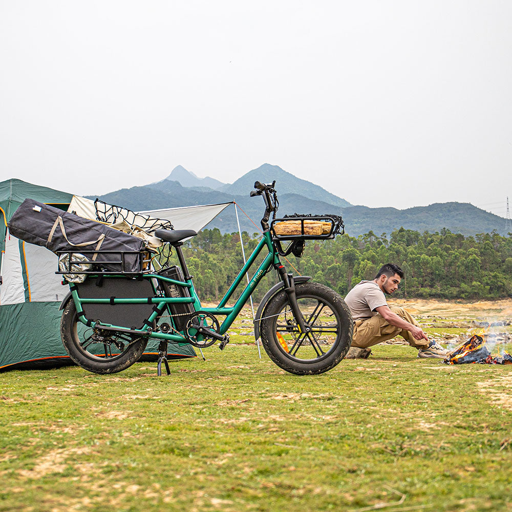 Fiido T2 Long Tail Cargo Bici Elettrica parcheggiata sull'erba