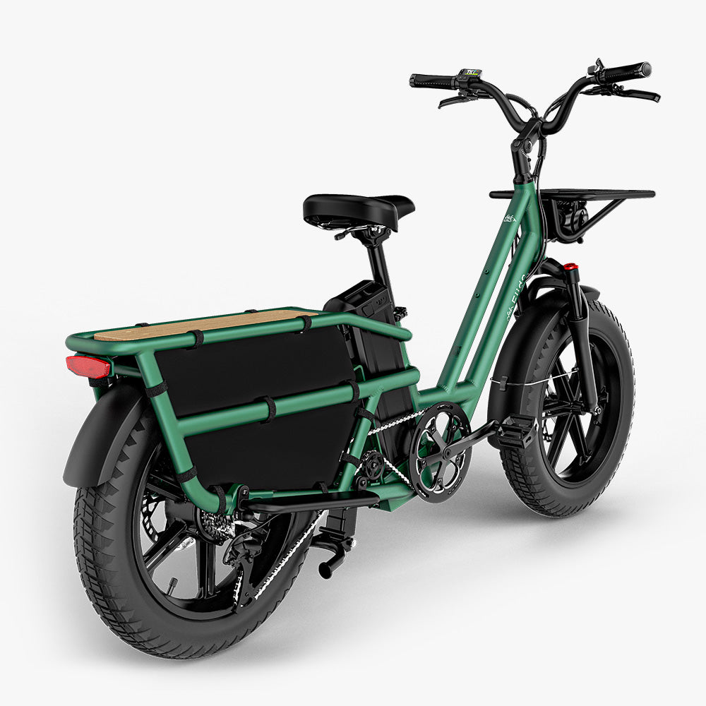 Fiido T2 Long Tail Cargo Bici Elettrica Verde Vista Posteriore