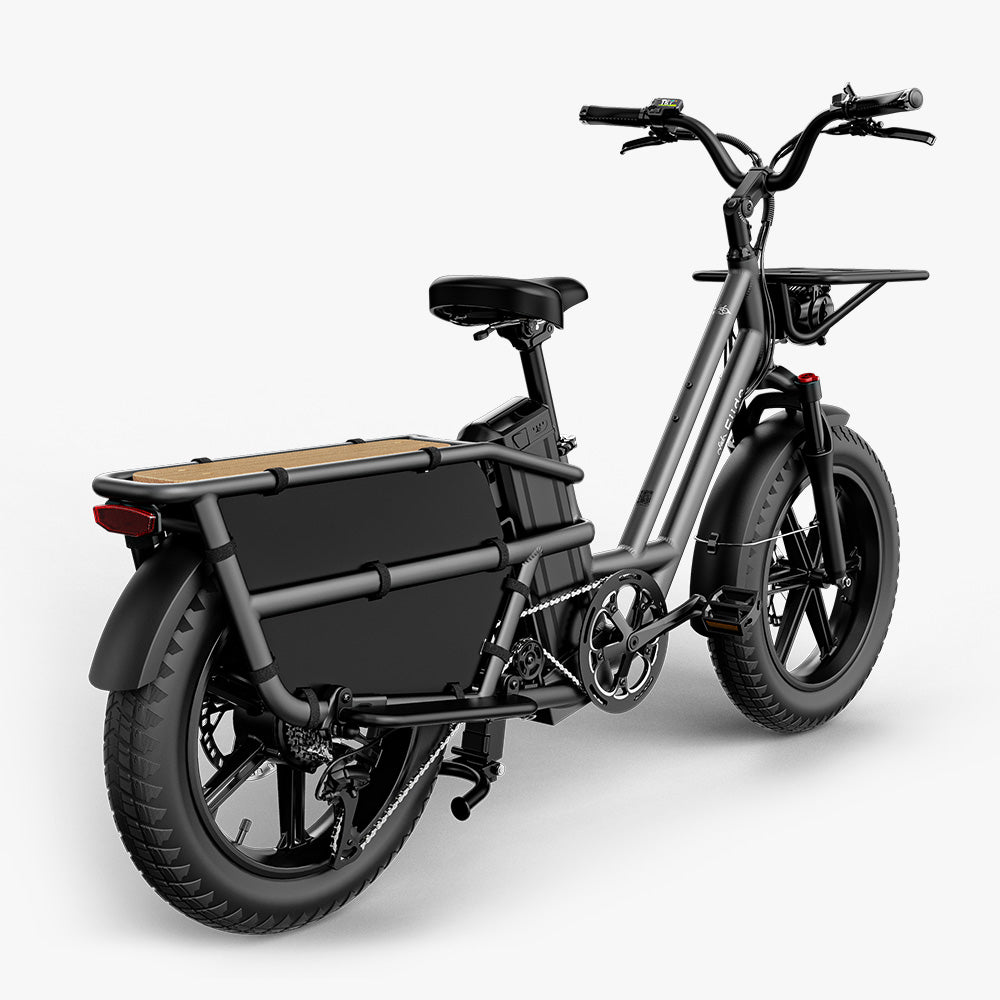 Fiido T2 Long Tail Cargo Bici Elettrica Nero Vista Posteriore