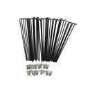 Raggi Posteriori per Fiido D21